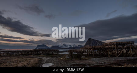 Fisch trockenständer am Strand, Lofoten, Nordland, Norwegen Stockfoto