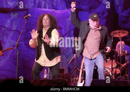 Musik Partner Mark Volman und Howard Kaylan der Schildkröten sind dargestellt auf der Bühne während einer "live"-Konzert aussehen. Stockfoto