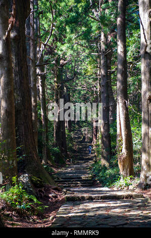 Vor tausend Jahren, in der Blütezeit der japanischen kaiserlichen Hof, Royals und Adelige es auf Wochen begeben - lange Wanderungen in den drei Prinzip zu beten. Stockfoto