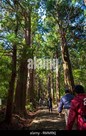 Vor tausend Jahren, in der Blütezeit der japanischen kaiserlichen Hof, Royals und Adelige es auf Wochen begeben - lange Wanderungen in den drei Prinzip zu beten. Stockfoto