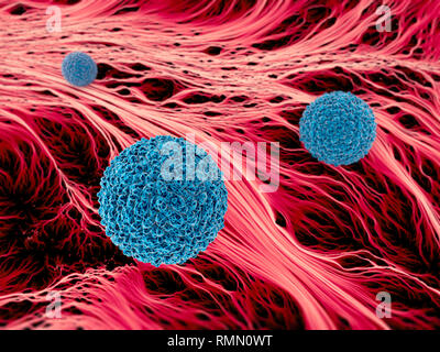 Zika Virus ist ein Mitglied der Familie Flaviviridae. Es wird von Tag zu verbreiten - aktiv Mücken. Mikroskopische Ansicht des Virus. 3D-Rendering Stockfoto