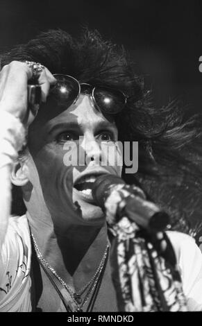 Sänger Steven Tyler von der Rockband Aerosmith ist dargestellt auf der Bühne während einer "live"-Konzert aussehen. Stockfoto