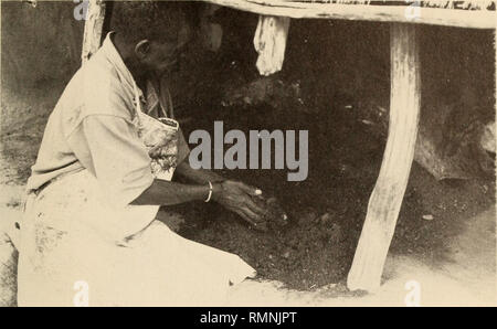 . Annalen der South African Museum = Annale van sterben Suid-Afrikaanse Museum. Natural History. PEDI HAUT DRESSING TECHNIK 161. Abbildung 19. Der nächste Schritt ist die Haut mit Fett aus der Frucht (ditshidi) Der mochidi Baumstruktur {Ximenia caffra Sond zu bestreichen.). Die kleine Frucht ist rot, wenn reif aber Schwarz auf Kochen. Nach dem Sieden ist erlaubt, um zu trocknen und dann den Kernel herausgenommen wird und Masse zwischen Schleifen der Steine, bis Sie Formen eine ölige Paste (Abb. 18). Die Haut ist wieder out zugeordnet, Haar-Seite nach unten auf die Ebene von getrocknetem Gras und das Fett auf die Innenseite der Haut mit einem hölzernen Stockfoto