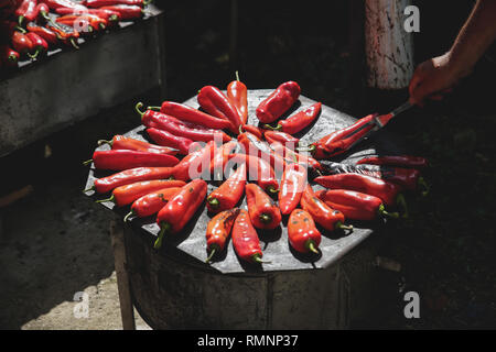 Ajvar Pfeffer auf dem Herd Stockfoto