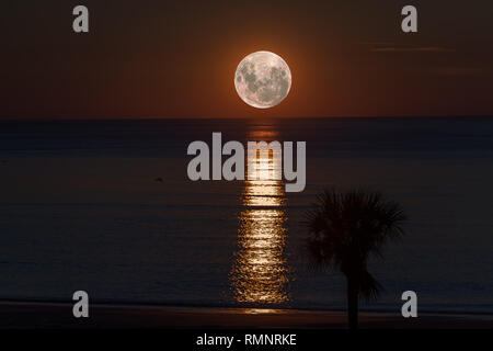 Eine brillante mondaufgang vor der Küste von Georgia mit Palmen in Silhouette Stockfoto