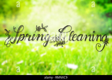 Englisch Kalligraphie Frühjahrsputz. Sonnige Frühling Gras Wiese mit Gänseblümchen Blumen Stockfoto