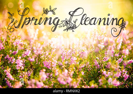 Englisch Kalligraphie Frühjahrsputz. Erica Blume Feld oder Wiese. Sonnige Frühling oder Sommer. Stockfoto