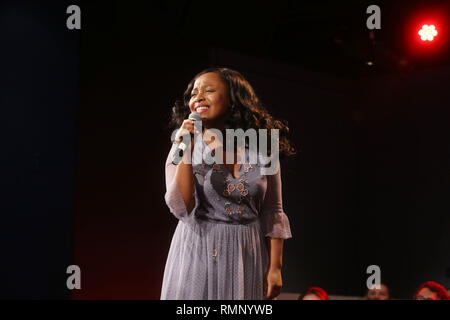 Die Jimmy Auszeichnungen Reunion Party im National Geographic Begegnungszentrum. Mit: Erica Durham Wo: New York, New York, United States Wenn: 14 Jan 2019 Credit: Joseph Marzullo/WENN.com Stockfoto