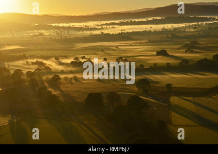 Gum Trees in niedrig gelegenen Nebel an der Gold Coast Hinterland wie aus einem Heißluftballon gesehen Stockfoto