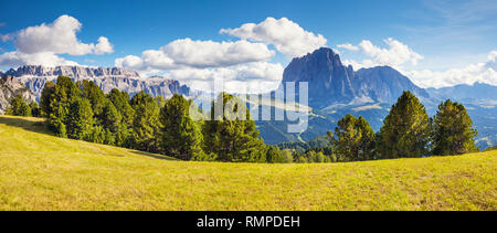 Tolle Aussicht auf den Langkofel (Langkofel und Sella, Grödner Tal. Nationalpark der Dolomiten, Südtirol. Lage St. Ulrich, St. Christina und Selv Stockfoto