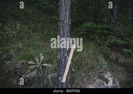 Axt in einen Baumstamm Stockfoto