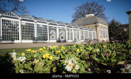 Sheffield, Großbritannien. 15 Feb, 2019. Ein paar gesehen an einem blühenden Feld in der Botanischen Gärten in Sheffield an einem heißen Tag sitzt. Großbritannien Erfahrungen ungewöhnliche Temperaturen mit dem Thermometer 14 Grad Celsius erreicht. Met Office Warnung die hohen Temperaturen wird bis Ende der nächsten Woche fortsetzen. Credit: Ioannis Alexopoulos/SOPA Images/ZUMA Draht/Alamy leben Nachrichten Stockfoto