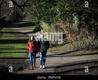 Sheffield, Großbritannien. 15 Feb, 2019. Ein paar gesehen zu Fuß durch einen Weg an einem heißen Tag im Botanischen Garten in Sheffield, Großbritannien Erfahrungen ungewöhnliche Temperaturen mit dem Thermometer 14 Grad Celsius erreicht. Met Office Warnung die hohen Temperaturen wird bis Ende der nächsten Woche fortsetzen. Credit: Ioannis Alexopoulos/SOPA Images/ZUMA Draht/Alamy leben Nachrichten Stockfoto