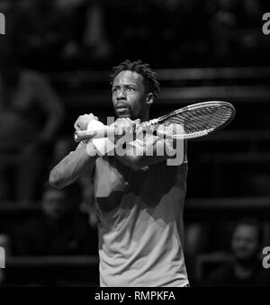 Rotterdam, Niederlande, 14. Februar 2019, ABNAMRO World Tennis Turnier, Ahoi, Viertelfinale, singles, Gael Monfils (FRA), Foto: www.tennisimages.com/Henk Koster Stockfoto