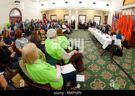 Mineola, New York, USA. 15 Feb, 2019. Eingeladener Redner Adressen (L-R, am Tisch) NYS Senator John Brooks, Abgeordnet Steve ENGLEBRIGHT, NYS SEN TODD KAMINSKY, und Abgeordnetes JUDY GRIFFIN, während NYS Senat Öffentliche Anhörung über Klimawandel, Community and Protection Act, Bill S 7253, Sen. Kaminsky, Vorsitzender des Senats Ständigen Ausschusses für Umweltschutz gefördert. Diese 3. Öffentliche Anhörung zum Gesetzesentwurf zur Bekämpfung des Klimawandels wurde auf Long Island. Quelle: Ann Parry/ZUMA Draht/Alamy leben Nachrichten Stockfoto