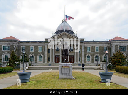 Mineola, New York, USA. 15 Feb, 2019. Eine Kammer in der Theodore Roosevelt Exekutive und Legislative Building, mit Bronze Statue von Präsident Theodore Roosevelt vor, ist die Lage von NYS Senat Öffentliche Anhörung über Klimawandel, Community and Protection Act, Bill S 7253, Sen. Kaminsky, Vorsitzender des Senats Ständigen Ausschusses für Umweltschutz gefördert. Quelle: Ann Parry/ZUMA Draht/Alamy leben Nachrichten Stockfoto