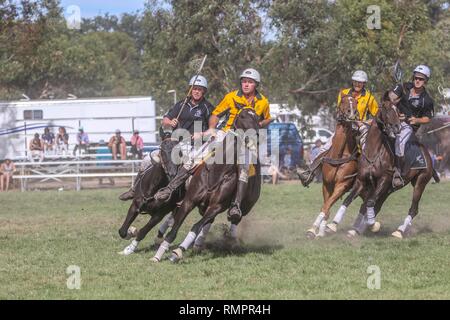 Australien V Neuseeland Exhibition Match - PoloCrosse PoloCrosse Verein - Ballarat jährlichen Turnier - 16. Februar 2019 - Ballarat, Victoria, Australien. Während des Spiels, in denen Australien 29 Ziele zu 15 gewonnen. Beide Mannschaften Platz wieder das folgende Tag für ein weiteres Testspiel, bevor beide Mannschaften Kopf an die Adina Polocrosse Wm 2019 in Queensland, Australien vom 22. bis zum 28. April 2019 statt. Credit: Brett Keating/Alamy leben Nachrichten Stockfoto