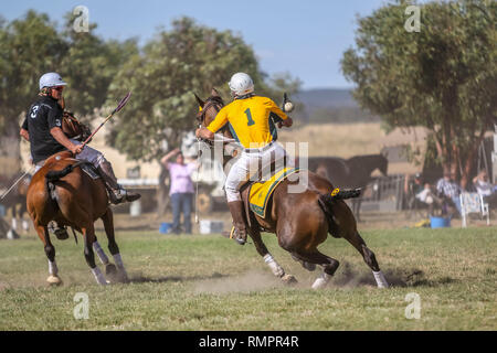 Australien V Neuseeland Exhibition Match - PoloCrosse PoloCrosse Verein - Ballarat jährlichen Turnier - 16. Februar 2019 - Ballarat, Victoria, Australien. Während des Spiels, in denen Australien 29 Ziele zu 15 gewonnen. Beide Mannschaften Platz wieder das folgende Tag für ein weiteres Testspiel, bevor beide Mannschaften Kopf an die Adina Polocrosse Wm 2019 in Queensland, Australien vom 22. bis zum 28. April 2019 statt. Credit: Brett Keating/Alamy leben Nachrichten Stockfoto