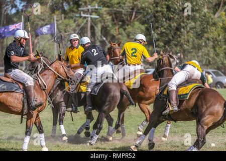 Australien V Neuseeland Exhibition Match - PoloCrosse PoloCrosse Verein - Ballarat jährlichen Turnier - 16. Februar 2019 - Ballarat, Victoria, Australien. Während des Spiels, in denen Australien 29 Ziele zu 15 gewonnen. Beide Mannschaften Platz wieder das folgende Tag für ein weiteres Testspiel, bevor beide Mannschaften Kopf an die Adina Polocrosse Wm 2019 in Queensland, Australien vom 22. bis zum 28. April 2019 statt. Credit: Brett Keating/Alamy leben Nachrichten Stockfoto