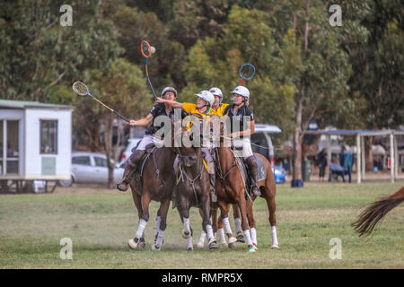 Australien V Neuseeland Exhibition Match - PoloCrosse PoloCrosse Verein - Ballarat jährlichen Turnier - 16. Februar 2019 - Ballarat, Victoria, Australien. Während des Spiels, in denen Australien 29 Ziele zu 15 gewonnen. Beide Mannschaften Platz wieder das folgende Tag für ein weiteres Testspiel, bevor beide Mannschaften Kopf an die Adina Polocrosse Wm 2019 in Queensland, Australien vom 22. bis zum 28. April 2019 statt. Credit: Brett Keating/Alamy leben Nachrichten Stockfoto