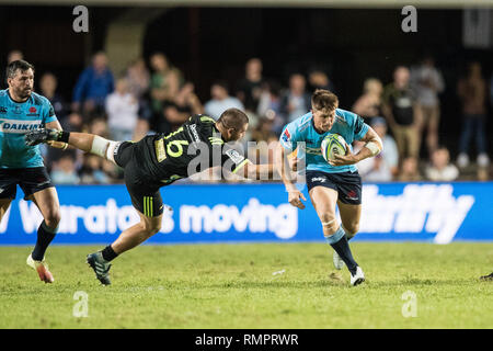 Brookvale, Australien. 16 Feb, 2019. Alex Newsome von Waratahs während der 2019 Super Rugby-spiel zwischen NSW Waratahs und Hurrikane in Brookvale Oval, Brookvale, Australien am 16. Februar 2019. Foto von Peter Dovgan. Credit: UK Sport Pics Ltd/Alamy leben Nachrichten Stockfoto