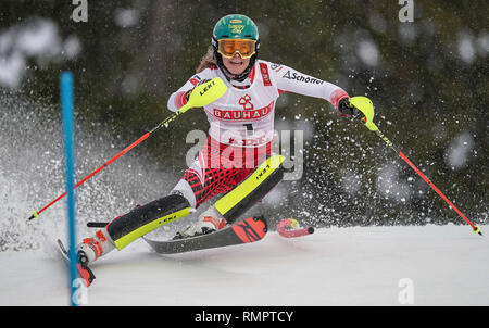 Sind, Schweden. 16 Feb, 2019. Ski Alpin, Weltmeisterschaft, Slalom, Damen: Katharina Liensberger aus Österreich im ersten Lauf auf der Strecke. Quelle: Michael Kappeler/dpa/Alamy leben Nachrichten Stockfoto
