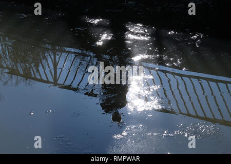 Kassel, Deutschland. 16 Feb, 2019. Bei sonnigem Wetter die Schatten eines Menschen ist auf die letzten Reste der Ice floating in der Küche Graben der Karlsaue wider. Quelle: Uwe Zucchi/dpa/Alamy leben Nachrichten Stockfoto