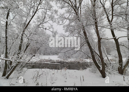 Winterlandschaft mit Krähe in der Nähe von Yauza Fluss in Babushkinskiy District, Moskau Stockfoto