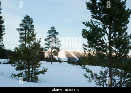 Schweden, Skifahren kann ein Mittel sein, eine entspannende Tätigkeit oder eine wettbewerbsfähige Winter Sport, in der die Teilnehmer verwendet Ski auf Schnee zu gleiten. Stockfoto