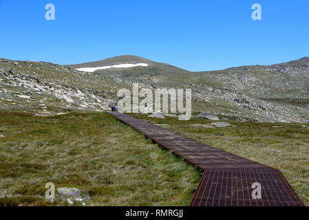 Der Gipfel zu Fuß bis zum Mount Kosciuszko in der schneebedeckten Berge im Sommer Stockfoto