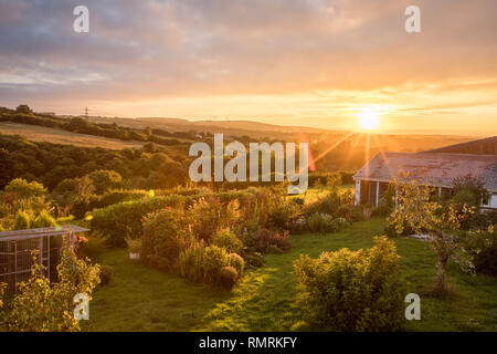 Bunten Garten mit einer Vielzahl von Pflanzen, Sträucher und Blumen. Sonnenuntergang während der Goldenen Stunde zeigen die Berge und die Landschaft in der Ferne. Stockfoto