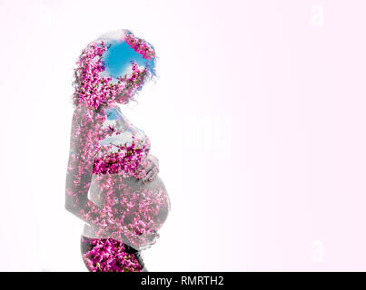 Double Exposure. Silhouette der schwangeren Frau mit rosa Blumen kombiniert Stockfoto