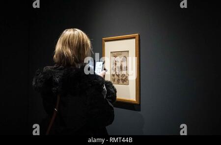 Besucher auf einer Messe von zwölf Zeichnungen von Leonardo da Vinci (1452 - 1519). Zu einem Leben in Zeichnungen die Ausstellung Leihgaben sind durch Ihre Majestät die Königin von der Königlichen Sammlung Vertrauen. Zwölf Galerien in Großbritannien wird verschiedene Zeichnungen anzeigen, indem der Künstler gleichzeitig zwischen dem 1. Februar und 6. Mai 2019, den 500. Jahrestag des Todes der Künstlerin zu markieren. Stockfoto