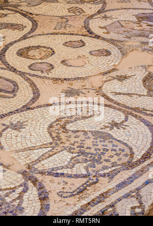 Mosaik Boden der byzantinischen Kirche, Petra, Ma'an Governorate, Jordanien Stockfoto