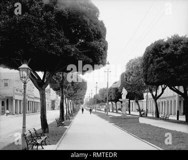 Prado, Blick nach Süden, Havanna, Kuba, Detroit Publishing Company, 1900 Stockfoto