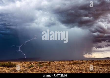 Gewitterwolken mit Blitzeinschlag und Starkregen in der Nähe von Kykotsmovi Village, Arizona, USA Stockfoto