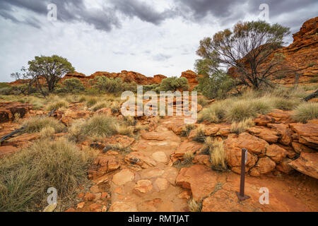 Wandern an einem bewölkten Tag in der Wüste von Kings Canyon im Watarrka National Park, Northern Territory, Australien Stockfoto