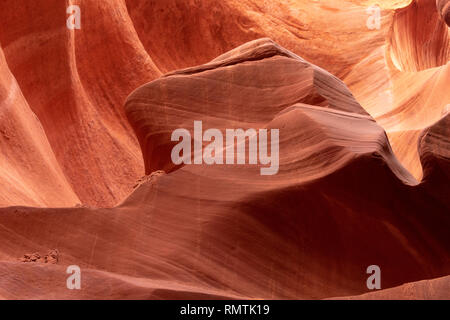 Lower Antelope Canyon - geführte Tour zum malerischen, Verdrehen, schmale, Sandstein und Kalkstein der Wicklung Slot Canyon gekrümmte durch flutartige Überschwemmung in Arizona Stockfoto