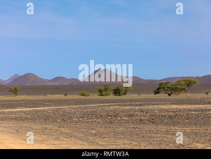 Trockene Landschaft, nördlichen Staat, Bayuda Wüste, Sudan Stockfoto