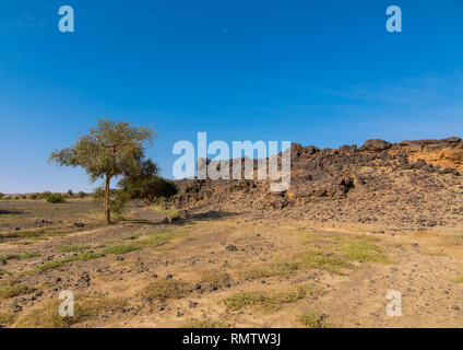Felsige Landschaft, nördlichen Staat, Bayuda Wüste, Sudan Stockfoto