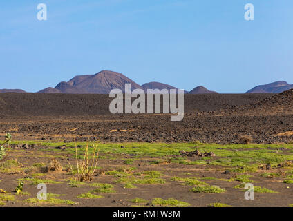 Felsige Landschaft, nördlichen Staat, Bayuda Wüste, Sudan Stockfoto