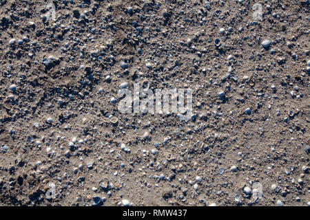 Textur mit Shell und Kiesel in wet Gelb Sand Strand. Ferienhäuser Hintergrund Stockfoto