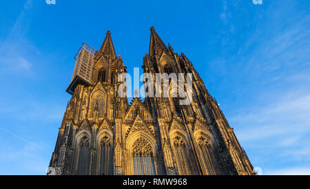 Vor dem Kölner Dom mit Gerüst gegen den blauen Himmel an den goldenen Stunde Stockfoto