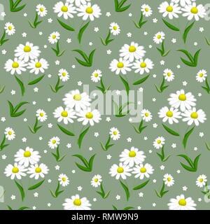 Nahtlose Muster der weißen Gänseblümchen auf einem hellgrünen Hintergrund. Vector Illustration. Stock Vektor