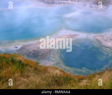 USA, Wyoming, Yellowstone National Park, Seismograph, der Pool mit mineralischen tolerant Gräser am Rande der heißen Quelle; West Thumb Geyser Basin. Stockfoto