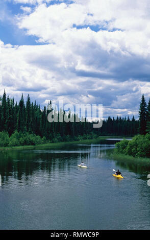 Kajakfahren auf dem Waskesiu Fluss, Prince Albert National Park, Saskatchewan, Kanada Stockfoto