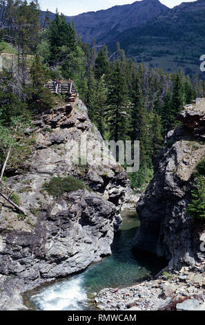 Blakiston Creek und fällt, Waterton National Park, Alberta, Kanada Stockfoto