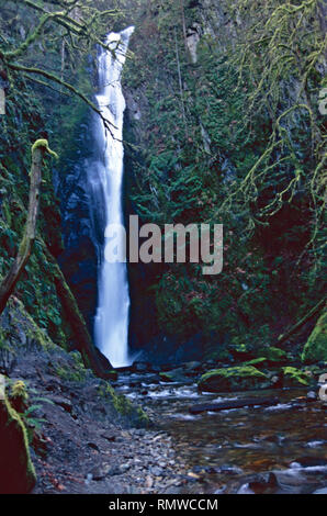 Niagara Falls, Goldstream Provincial Park, British Columbia, Kanada Stockfoto