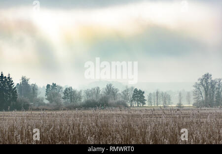 Ich scheint die Sonne durch die Wolken auf einer kalten und frostigen Winter Landschaft Landschaft mit Reed Stockfoto