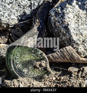 Dessert Felsen, getrocknete Pflanzen und eine zerbrochene Flasche im La Quinta, Kalifornien Stockfoto